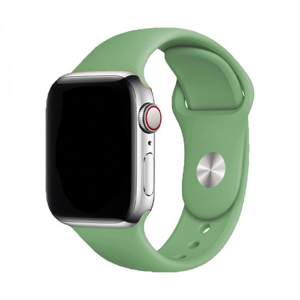 E2M CLASSIC SİLİKON APPLE WATCH KORDON 42-44-45-49MM YEŞİL ürün görseli 1