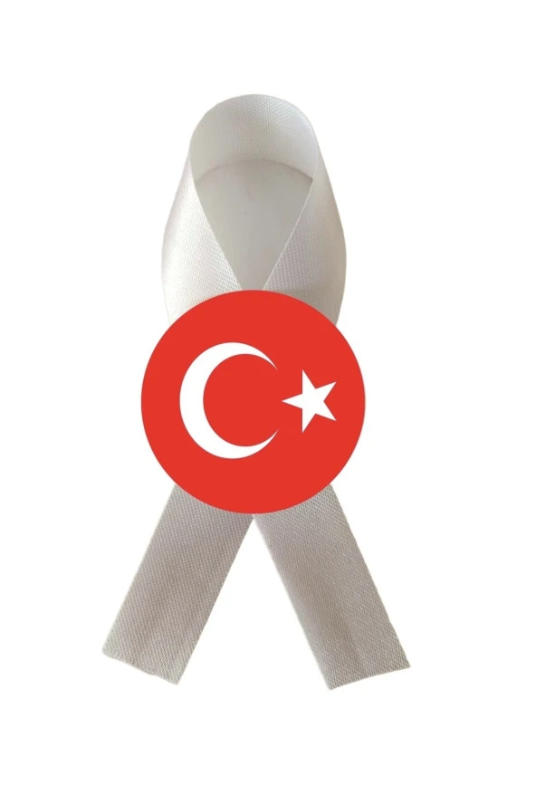 yıldızkurdelaankara FİYONK SATEN KURDELA ARKASI İĞNELİ BOŞ 10 ADET ürün görseli 1