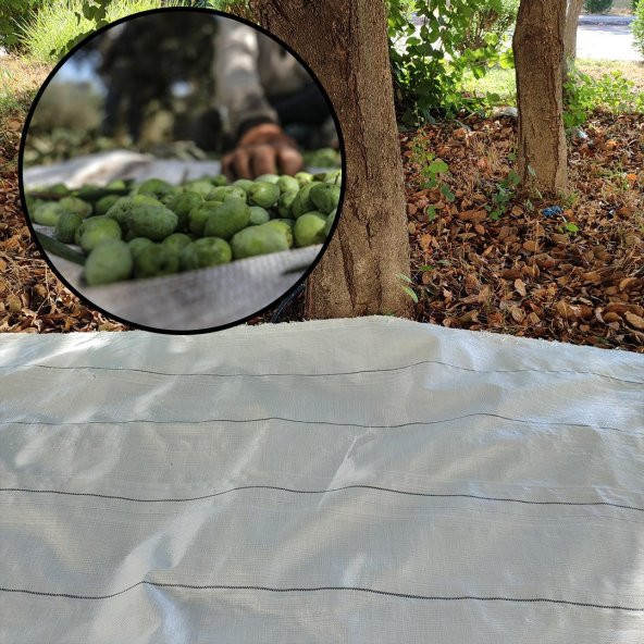 5X12 METRE ZEYTİN SERGENİ ZEYTİN TOPLAMA ÖRTÜSÜ FINDIK FISTIK DUT TOPLAMA FİLESİ BEYAZ HASAT TABAN ÖRTÜSÜ ürün görseli 1