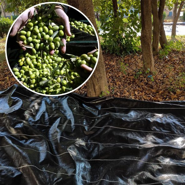 5X4 METRE ZEYTİN SERGENİ ZEYTİN TOPLAMA ÖRTÜSÜ FINDIK FISTIK DUT TOPLAMA FİLESİ HASAT TABAN ÖRTÜSÜ ürün görseli 1