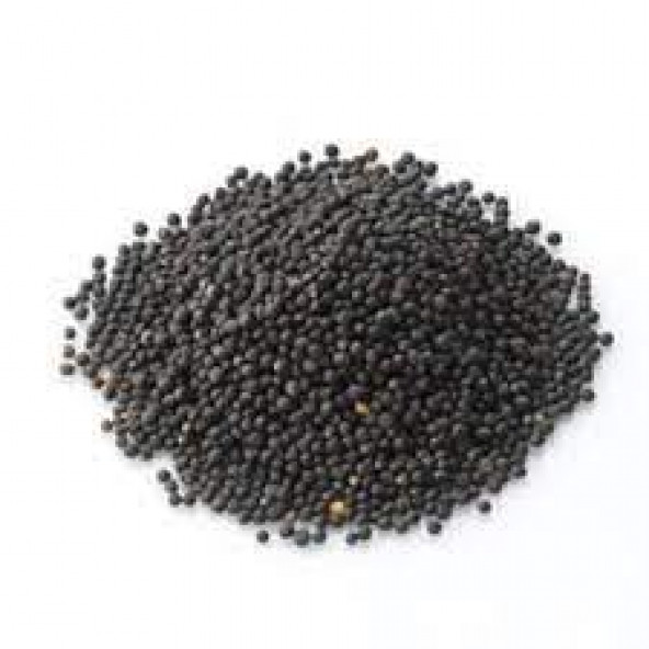 Arılar İçin Kolza 1 Kg ürün görseli 1