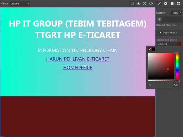 WEB EDİTÖR - Resim 3