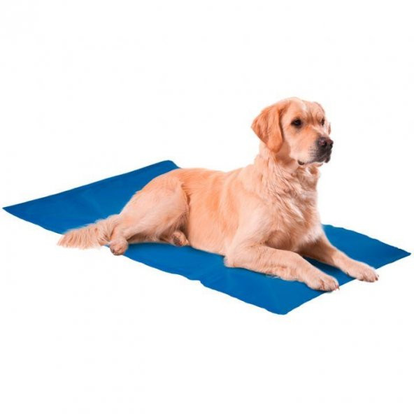 Nunbell Serinleticili Köpek Yatağı XX-Large ürün görseli 1