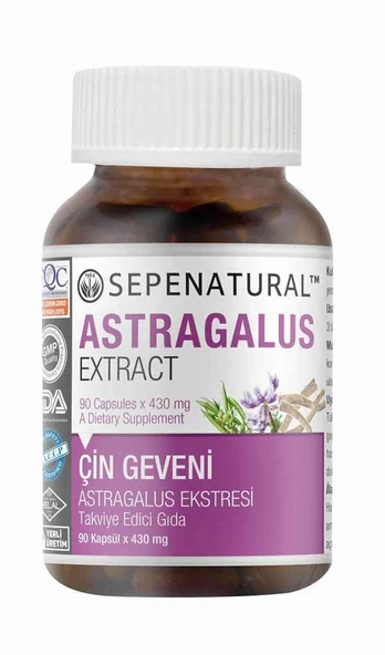 Astragalus Root Extract 90 Kapsül Çin Geveni Ekstresi - Resim 2