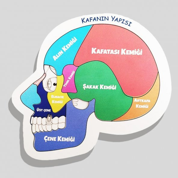 Moon Beavers Kafanın Yapısı Ahşap Puzzle 83003,Eğitici Öğretici Geliştirici Ahşap Sağlıklı Oyuncak ürün görseli 1