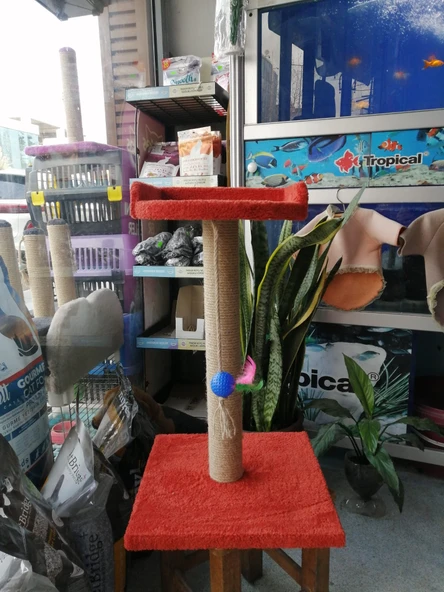 KEDİ TIRMALAMA TAHTASI VE YATAĞI - TABA ürün görseli 1