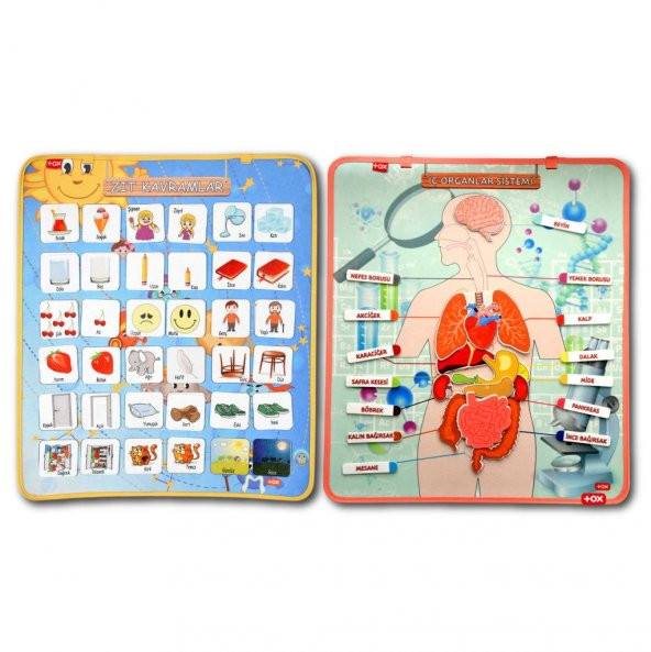 2 Set - 62 Parça  İç Organlar ve Zıt Kavramlar Keçe Cırtlı Duvar Panoları ürün görseli 1