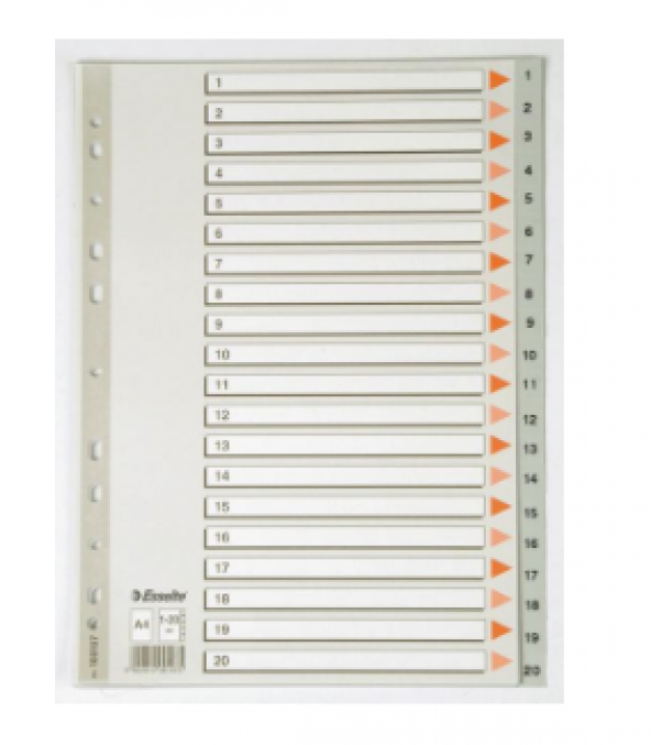 ESSELTE SEPARATÖR A4 1-20 RAKAM SLT-100107 ürün görseli 1