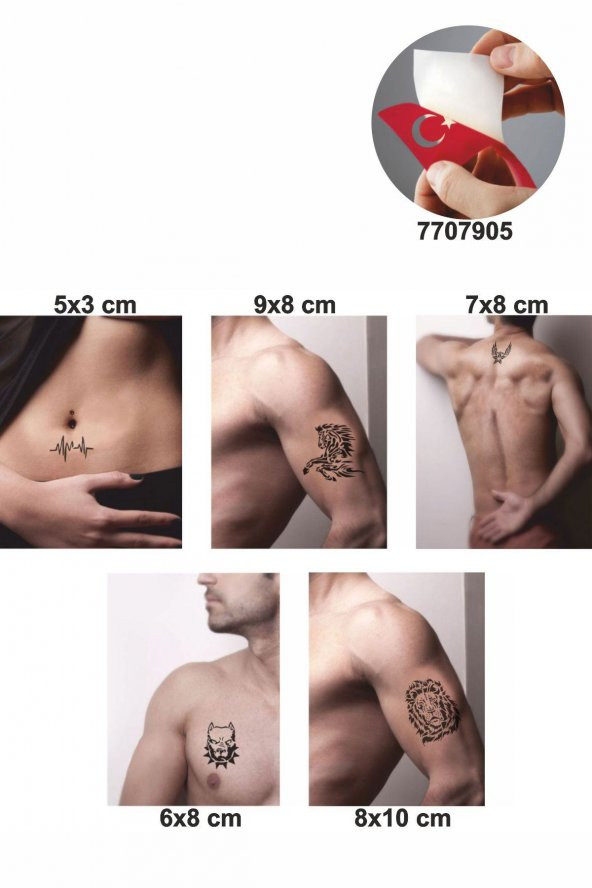 Vahşi Hayvan Desenleri Hint Kınası ile Geçici Dövme Yapma Seti ürün görseli 1