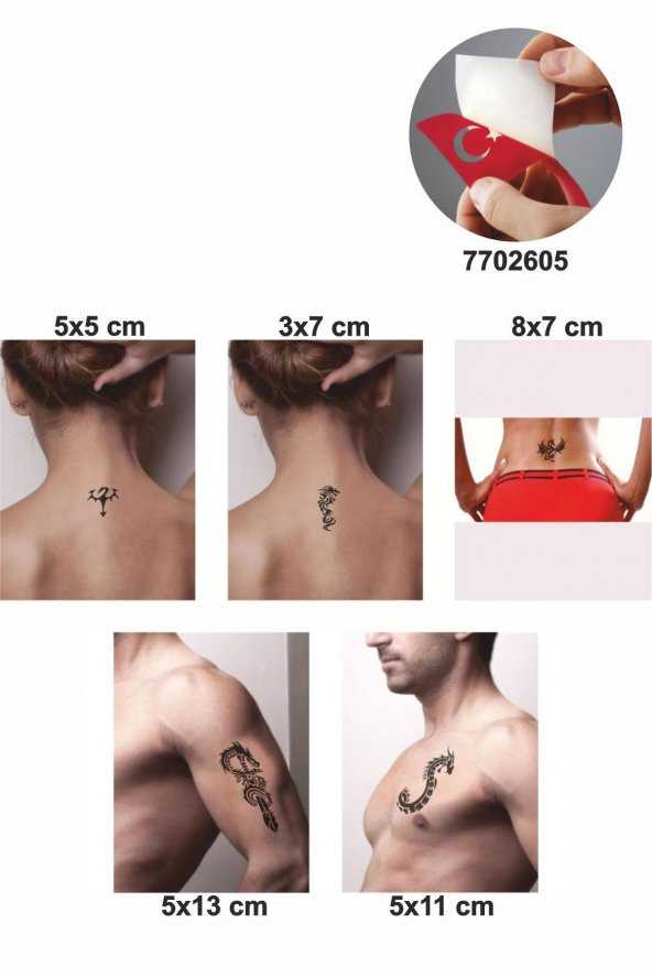 Dragonlar 5 Adet  Geçici Dövme Kına Şablonu ürün görseli 1