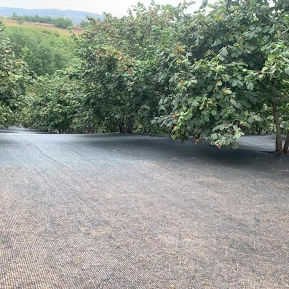 4x12 METRE FINDIK SERGİSİ FINDIK TOPLAMA FİLESİ FINDIK KURUTMA ÖRTÜSÜ 40LIK GÖLGELİK FINDIK ALTI FİLE HASAT TABAN ÖRTÜSÜ ürün görseli 1