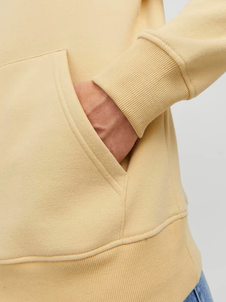 12242197  Jack & Jones  SWEAT - Resim 6