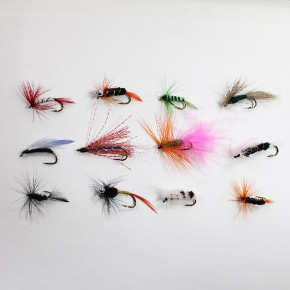 Solano Fishing Sinek Arı Set Balım Yemi Seti Tüy Yem Set ürün görseli 1