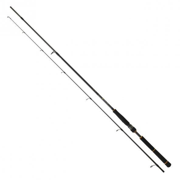 Daiwa New BG Seabass 244 cm 7-28 gr 2 Parça Spin Olta Kamışı ürün görseli 1