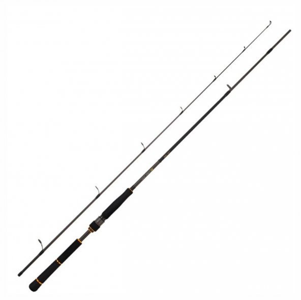 Daiwa New BG Seabass 244 cm 14-42 gr 2 Parça Spin Olta Kamışı ürün görseli 1
