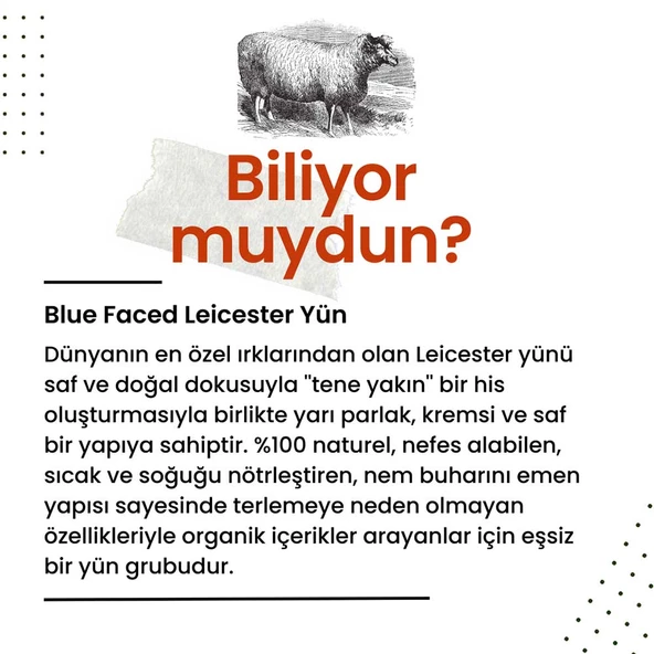 Etrofil Blue Faced Leicester Wool 72131 Mustard ürün görseli 1