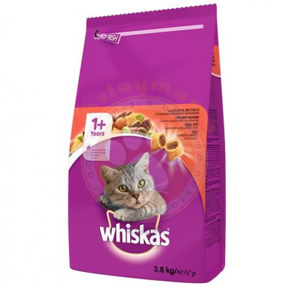 Whiskas Kuru Biftek Ve Havuçlu Kedi Maması 3,8 Kg ürün görseli 1