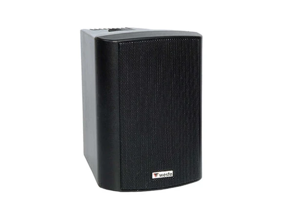 Westa WS-5TB 5.5" 13cm 16 Ohm 125 Watt Trafolu Kabin Duvar Tipi Hoparlör Sağ Sol Takımı Siyah ürün görseli 1