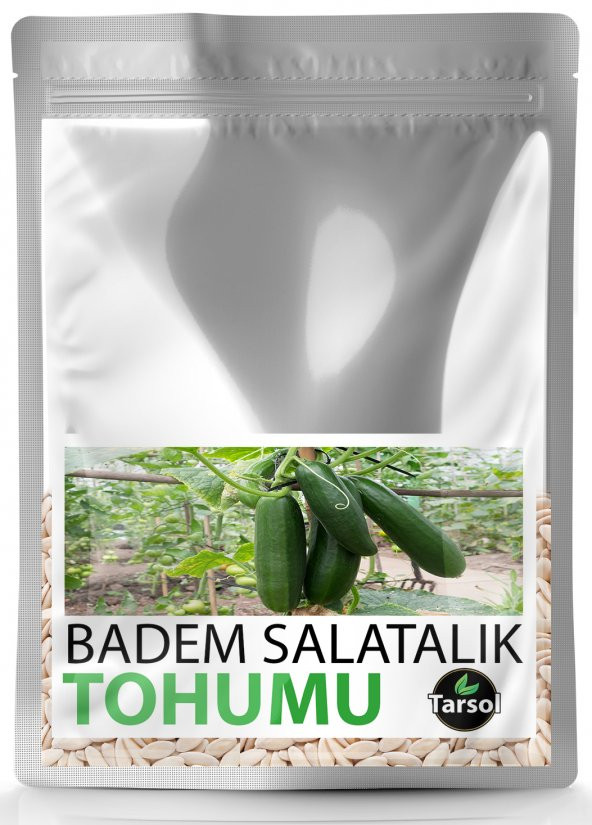 BADEM SALATALIK TOHUMU YÜKSEK VERİM 30 ADET ürün görseli 1