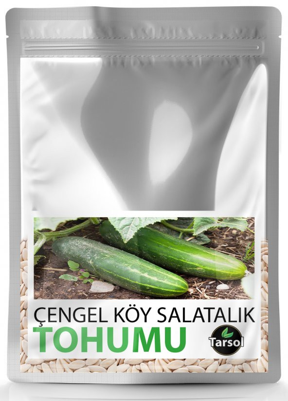 ÇENGEL KÖY SALATALIK TOHUMU YÜKSEK VERİM 30 ADET ürün görseli 1