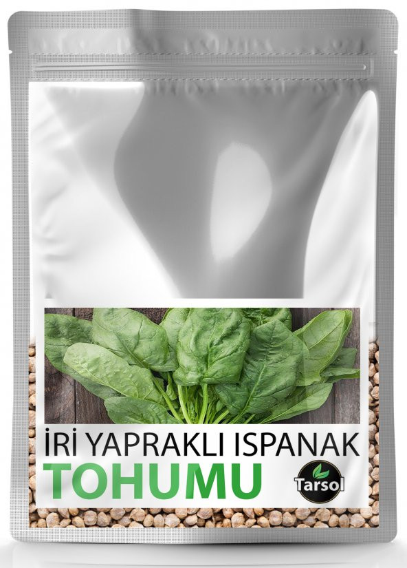 İRİ YAPRAKLI ISPANAK TOHUMU YÜKSEK VERİM 30 ADET ürün görseli 1