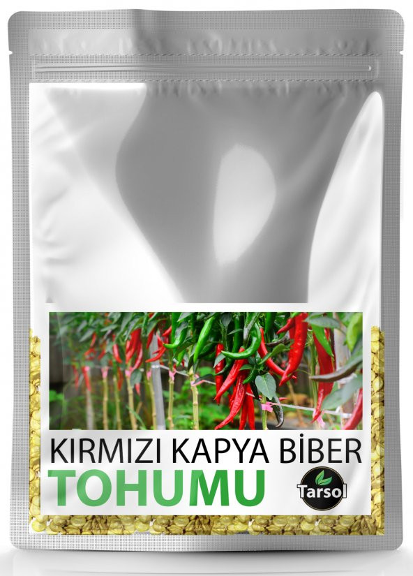 KIRMIZI KAPYA BİBER TOHUMU YÜKSEK VERİM 30 ADET ürün görseli 1