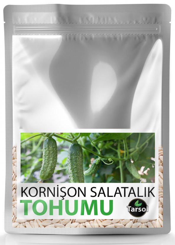 KORNİŞON SALATALIK TOHUMU YÜKSEK VERİM 30 ADET ürün görseli 1