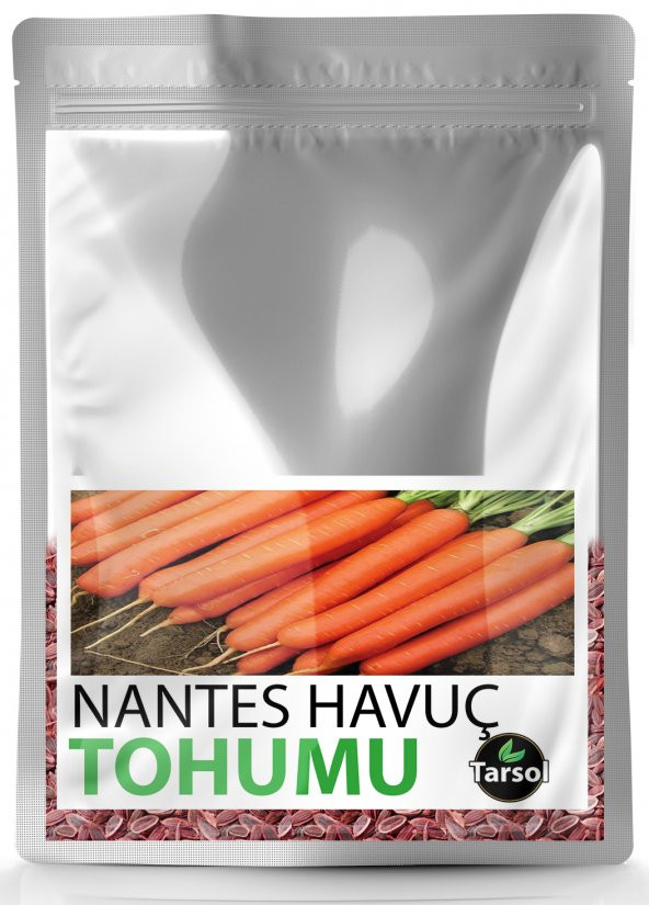 NANTES HAVUÇ TOHUMU YÜKSEK VERİM 30 ADET ürün görseli 1