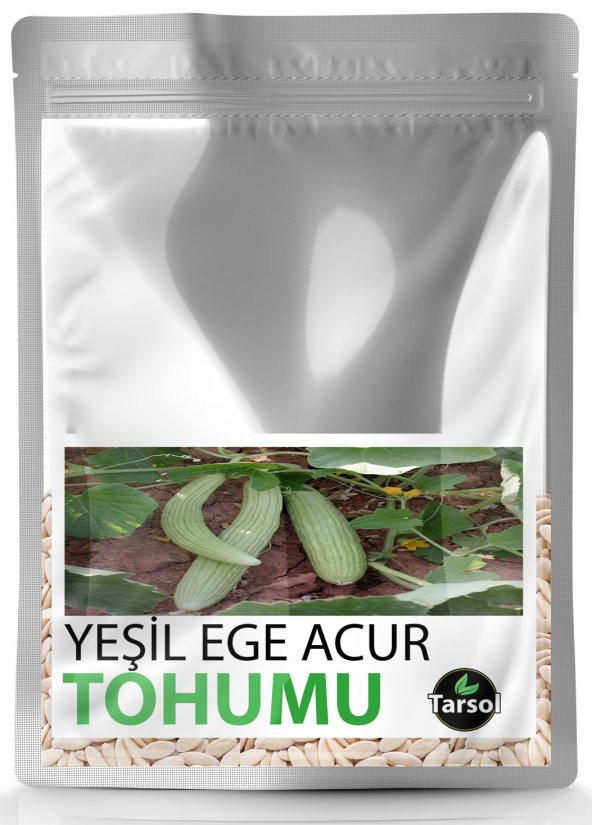 YEŞİL EGE ACUR TOHUMU YÜKSEK VERİM 30 ADET ürün görseli 1