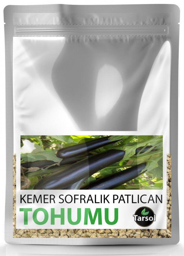 SOFRALIK PATLICAN TOHUMU YÜKSEK VERİM 30 ADET ürün görseli 1