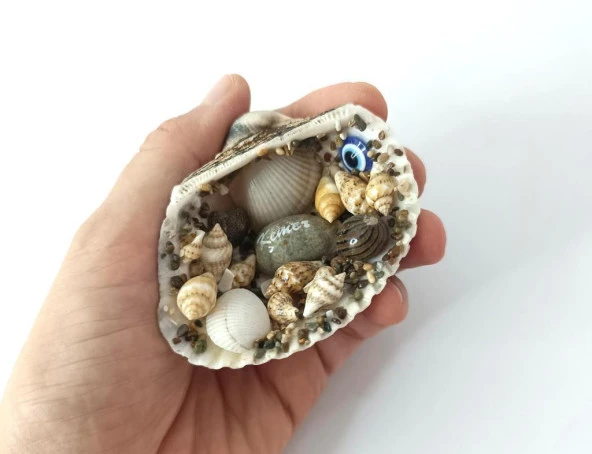 Magnet Deniz Kabuklu Buzdolabı Süsü Nazar Boncuklu Deniz Plaj Magnet ürün görseli 1
