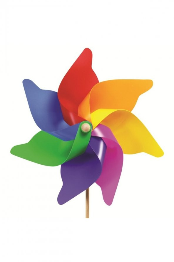Rüzgar Gülü 16 Cm ürün görseli 1