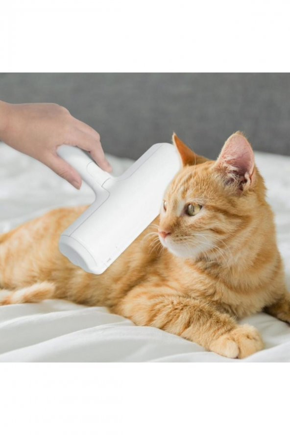 Hazneli Kedi Köpek Evcil Hayvan Kazak Kıyafet Elbise Halı Yatak Tüy Temizleyici Kıl Toz Toplayıcı ürün görseli 1