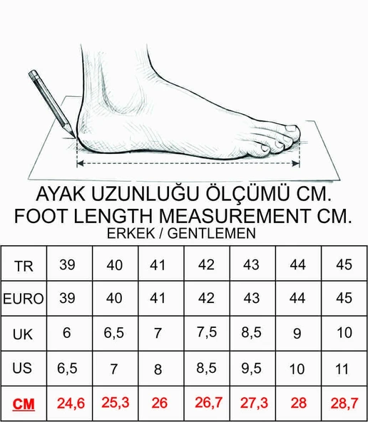 Erkek Anatomik Sabo-601 - TABA - Resim 11