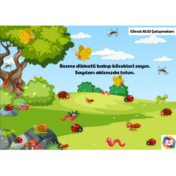 Okul Öncesi Süper Eğitim Seti-5 SÜPER KİTAP - Resim 6