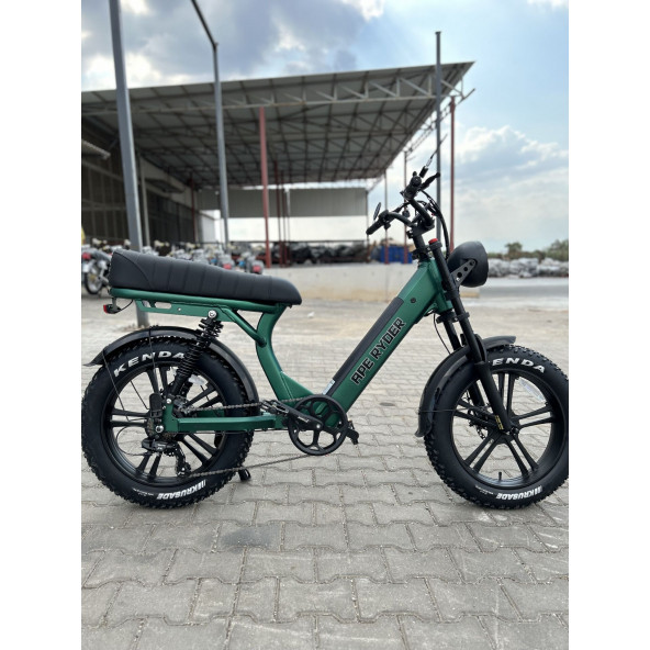 Ape Ryder MD10 250 W Yeşil İki Kişilik Elektrikli Bisiklet ürün görseli 1