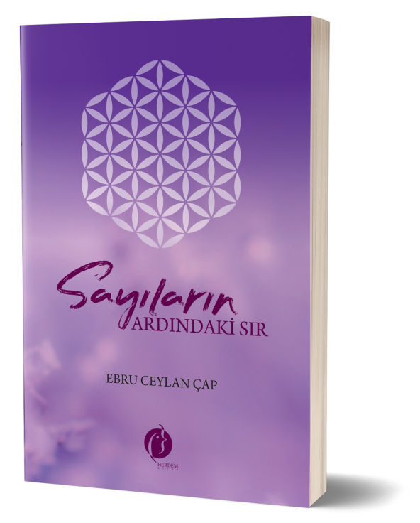 Sayıların Ardındaki Sır & Ebru Ceylan Çap ürün görseli 1