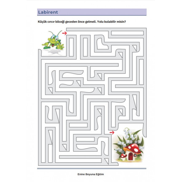 3-7 Yaş Çocuklara Labirent Kitap Seti-2 Kitap - Resim 7