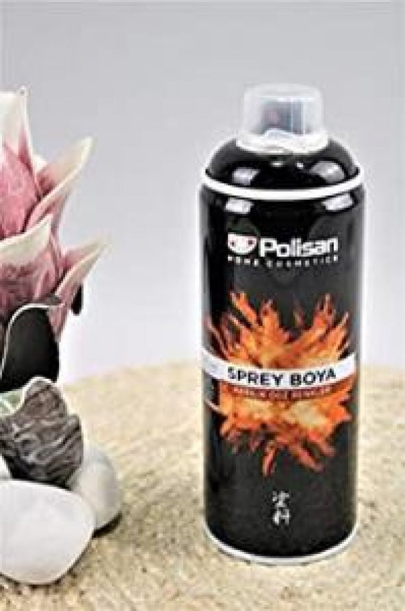 Polisan Sprey Boya Akrilik Parlak Siyah Ral 9005 ürün görseli 1