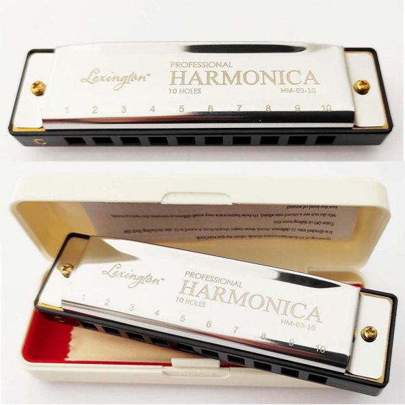Lexington 10 Delikli Mızıka Professional Harmonica DO (C) ürün görseli 1