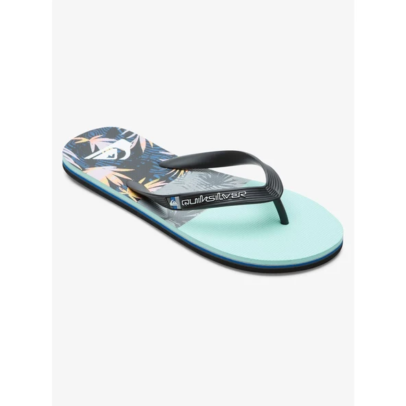 Quiksilver MOLOKAI PANEL Erkek Terlik AQYL101263-QK.XKBS ürün görseli 1