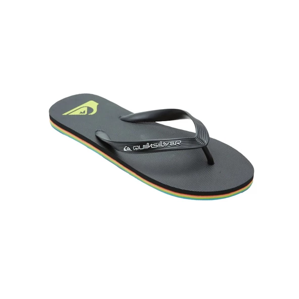 Quiksilver MOLOKAI CORE Erkek Terlik  AQYL101325-QK.KVJ2 ürün görseli 1