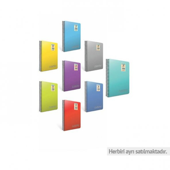 Gıpta Chromo Defter Çizgili Spiralli Pp Kapak A4 160 Yaprak ürün görseli 1