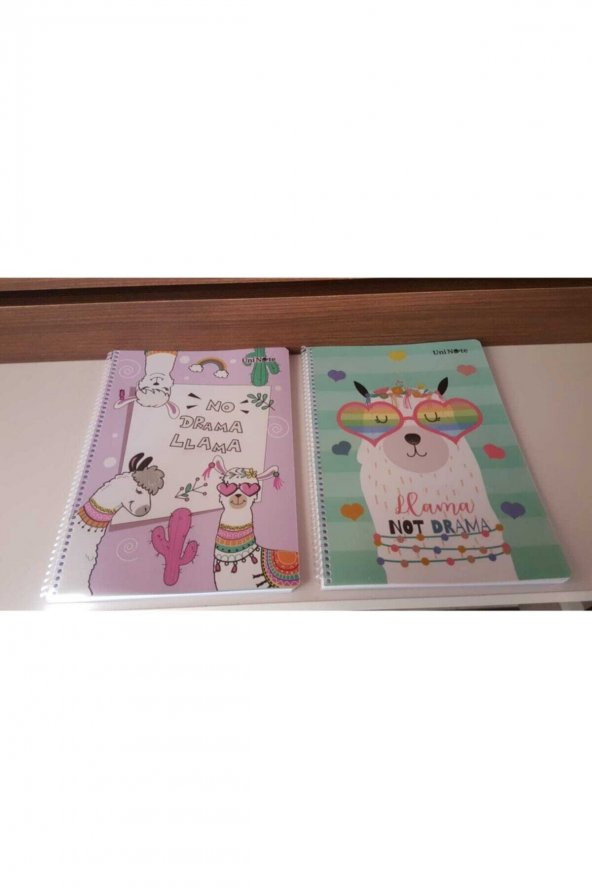 Çınar Dream Spiralli PP Kapak A4 72 Yaprak Çizgili Defter ürün görseli 1
