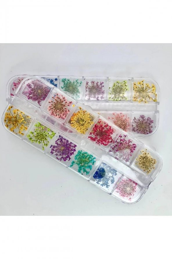Fontenay Nail Art Gerçek Kuru Süsleme Çiçekleri(12'Lİ) Protez Tırnak ürün görseli 1