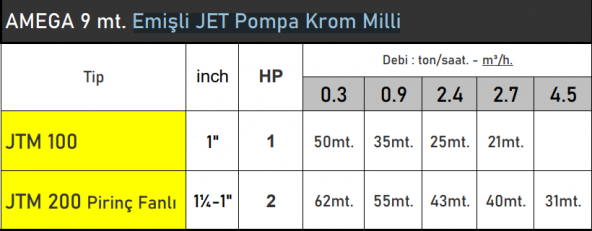 AMEGA JTM100 1 HP 220V 9 mt. Emişli Krom Milli Jet Pompa - Bakır Sargı ürün görseli 1