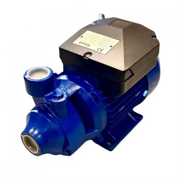 AMEGA TM45 0.5 HP 220V Preferikal Sürtme Fanlı Bronz Yataklı Krom Milli Su Pompası - Bakır Sargı ürün görseli 1