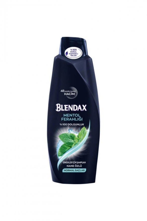 Blendax Erkekler Için Mentollü Şampuan 500 ml ürün görseli 1