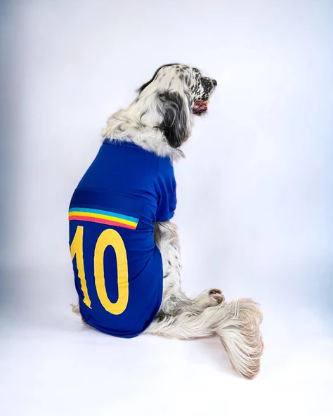 Uno Blue Büyük Irk Köpekler İçin Tişört ürün görseli 1