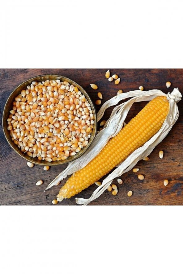Altunsa Patlayan Mısır 900 gr - Resim 2